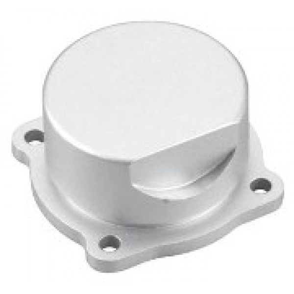 COVER PLATE MAX-55HZ OS Engines Parts