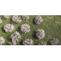 Drone shot for DELTA natural beverage advertising, with DJI Inspire 2, X5S Camera, 5K Video